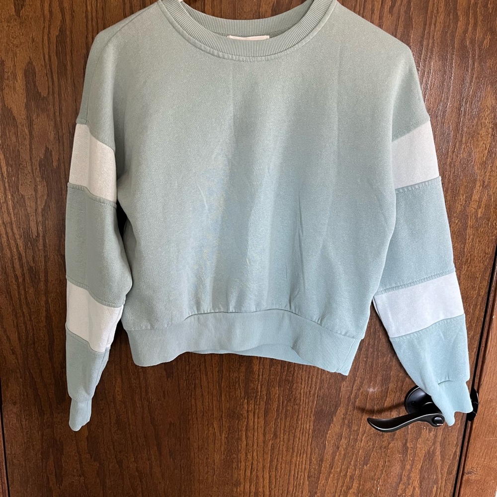 Hippie Rose Mint Green Sweatshirt